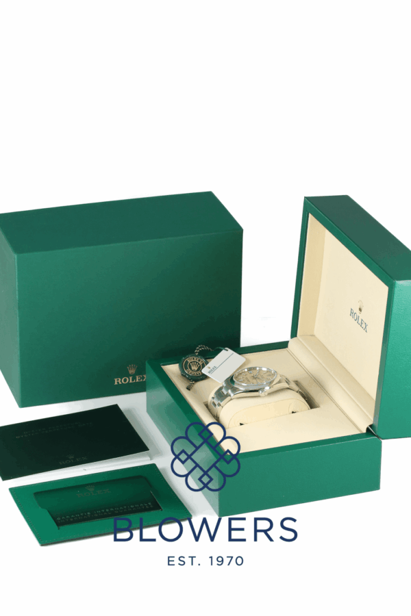 Rolex Oyster Perpetual 134300