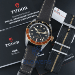 Tudor Black Bay M79833MN
