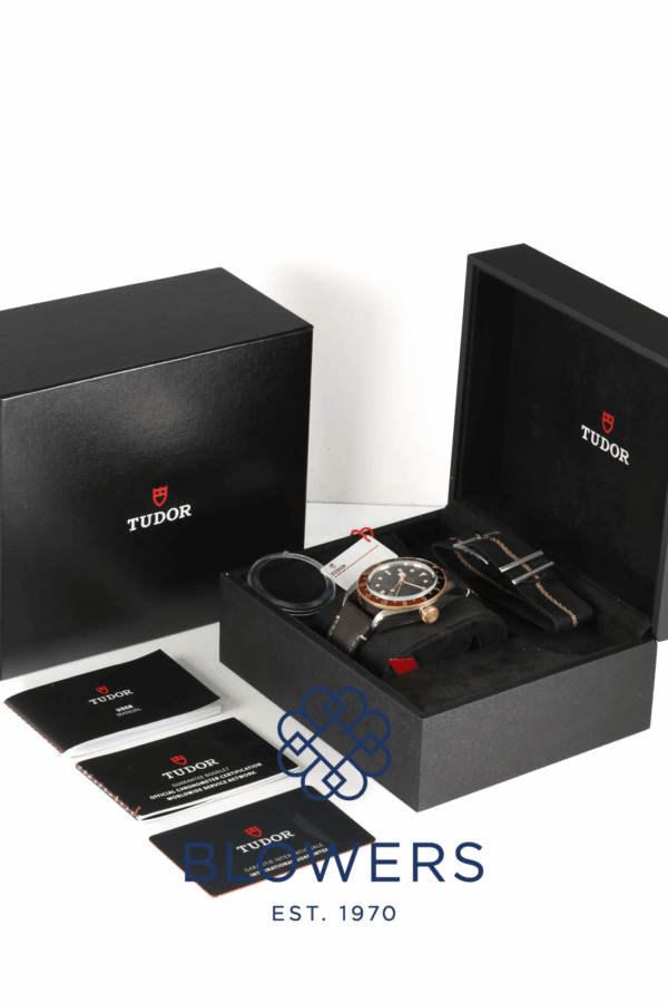 Tudor Black Bay M79833MN