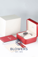 Omega Seamaster 300 233.30.41.21.01.001.