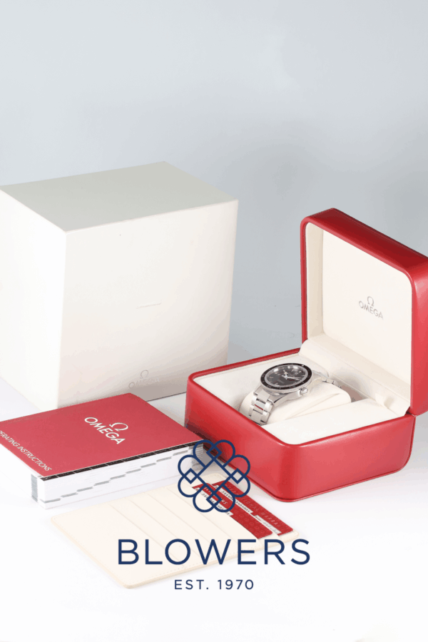 Omega Seamaster 300 233.30.41.21.01.001.