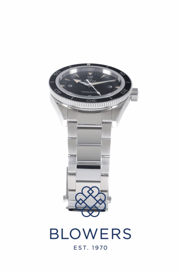 Omega Seamaster 300 233.30.41.21.01.001.