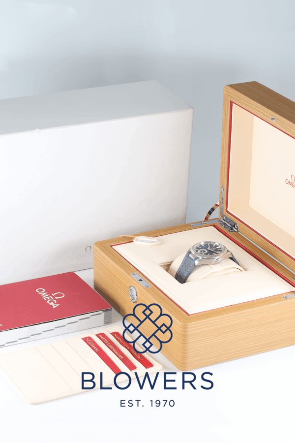 Omega Seamaster Aqua Terra 220.12.41.21.03.005