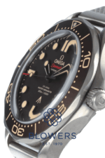 Omega Seamaster Diver 300 M 210.90.42.20.01.001. James Bond No Time to Die