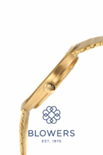 Patek Philippe Ellipse 3548/1