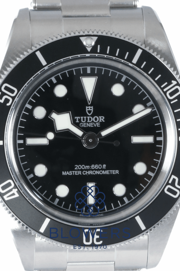Tudor Black Bay 7941A1A0NU