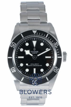 Tudor Black Bay 7941A1A0NU