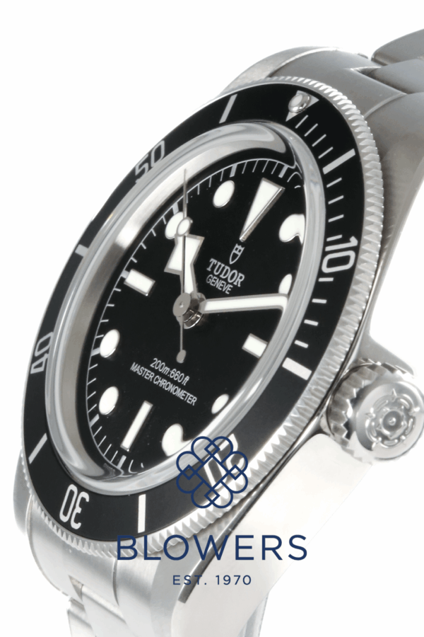 Tudor Black Bay 7941A1A0NU