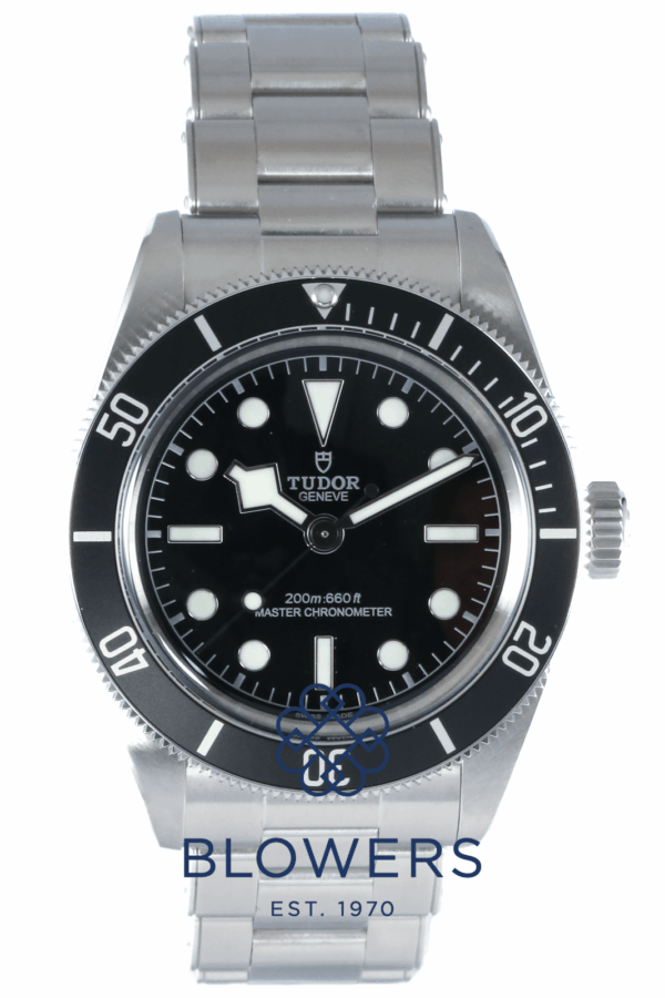 Tudor Black Bay 7941A1A0NU