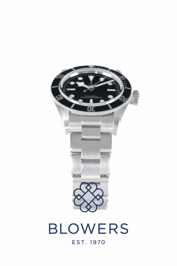 Tudor Black Bay 7941A1A0NU