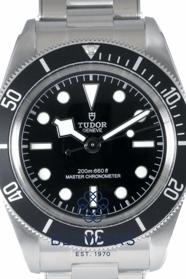 Tudor Black Bay 7941A1A0NU