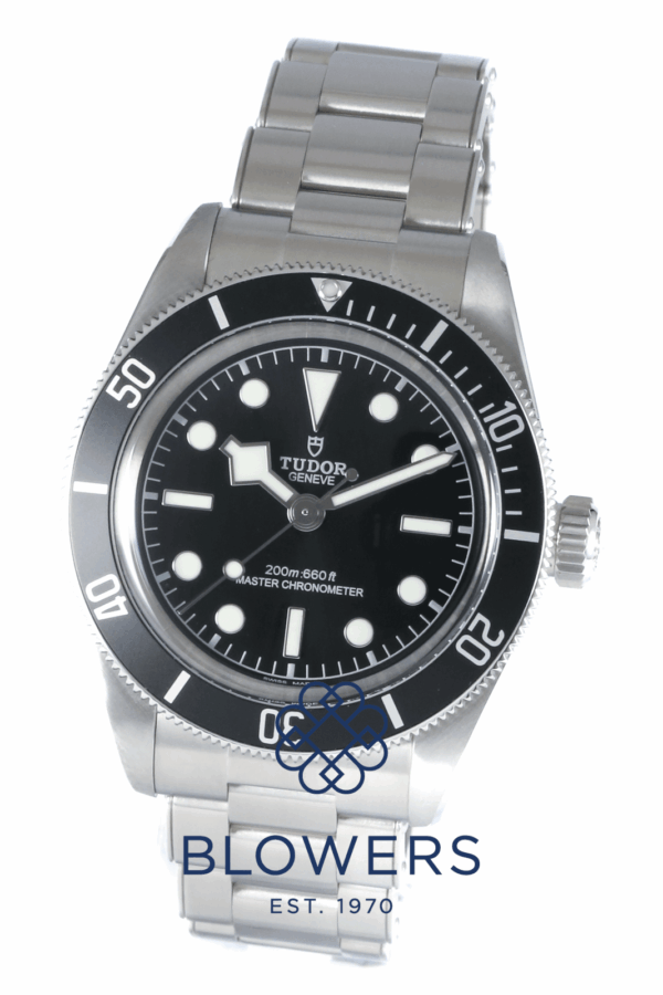 Tudor Black Bay 7941A1A0NU