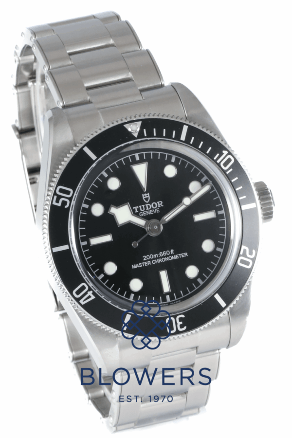 Tudor Black Bay 7941A1A0NU