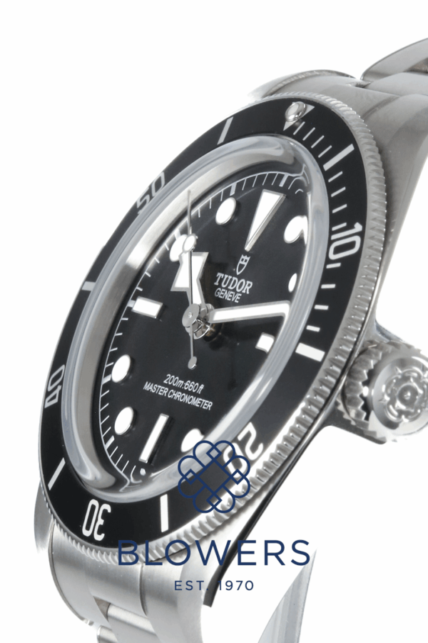 Tudor Black Bay 7941A1A0NU