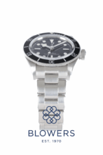 Tudor Black Bay 7941A1A0NU
