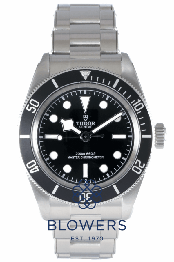 Tudor Black Bay 7941A1A0NU