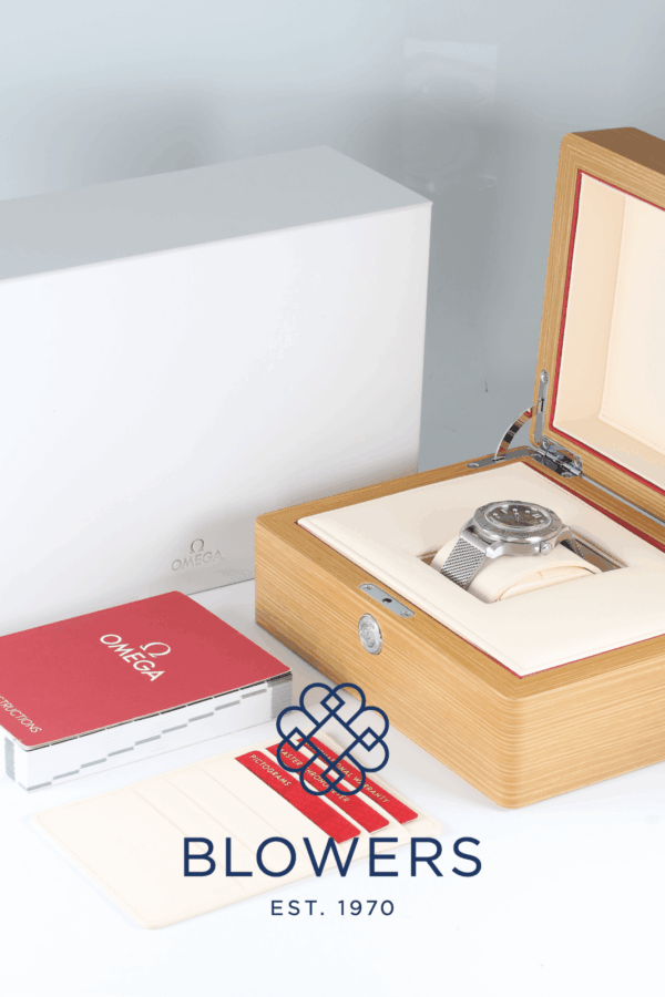 Omega Seamaster 210.30.42.20.06.002