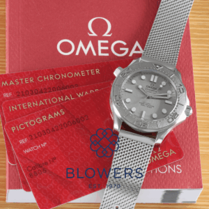 Omega Seamaster 210.30.42.20.06.002