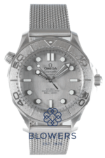 Omega Seamaster 210.30.42.20.06.002