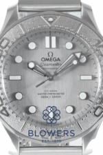 Omega Seamaster 210.30.42.20.06.002