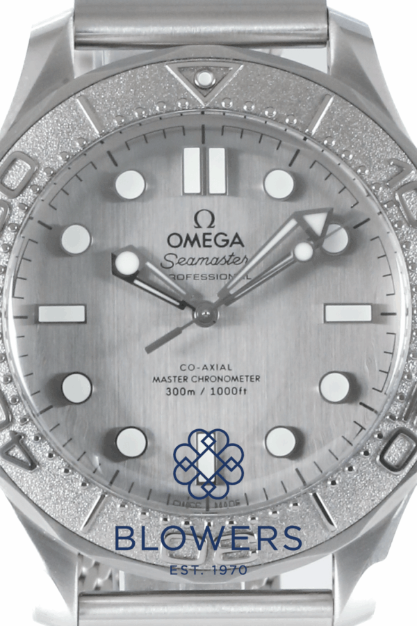 Omega Seamaster 210.30.42.20.06.002