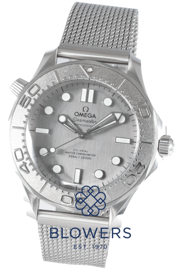 Omega Seamaster 210.30.42.20.06.002