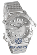Omega Seamaster 210.30.42.20.06.002