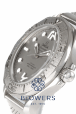Omega Seamaster 210.30.42.20.06.002