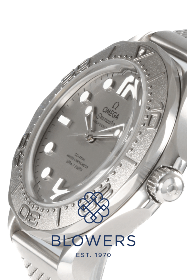 Omega Seamaster 210.30.42.20.06.002