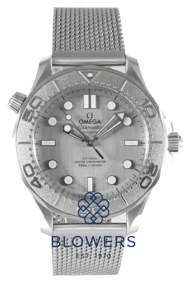Omega Seamaster 210.30.42.20.06.002
