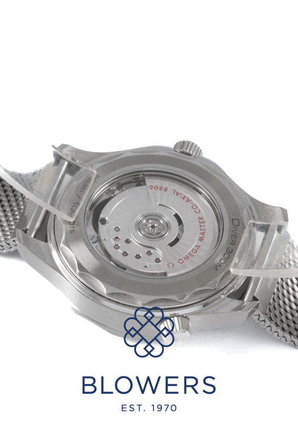 Omega Seamaster 210.30.42.20.06.002