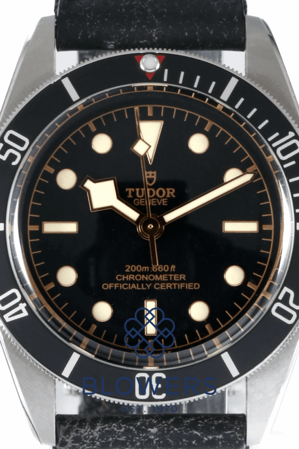 Tudor Heritage Black Bay 79230N