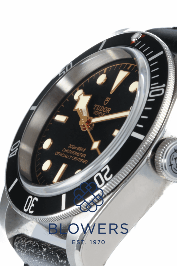 Tudor Heritage Black Bay 79230N