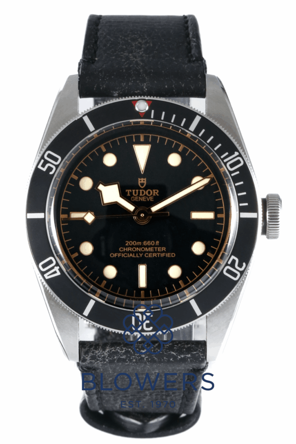 Tudor Heritage Black Bay 79230N