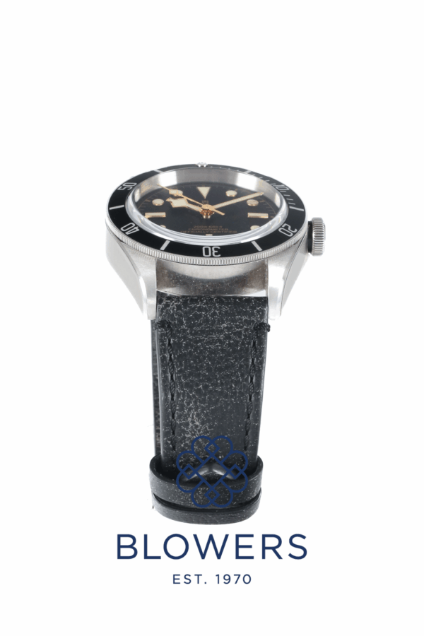 Tudor Heritage Black Bay 79230N