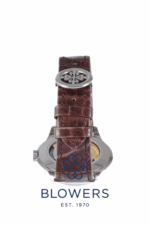Patek Philippe Grand Complications Perpetual Calendar 5320G-011
