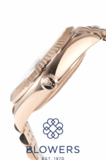 Rolex Sky-Dweller 336935