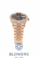 Rolex Sky-Dweller 336935