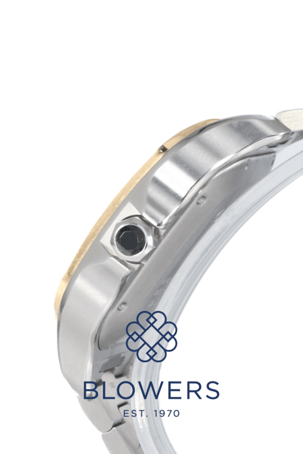 Cartier Santos de Cartier Chronograph XL W2SA0008