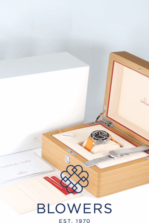 Omega Seamaster 210.32.42.20.01.006