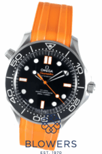 Omega Seamaster 210.32.42.20.01.006