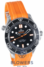 Omega Seamaster 210.32.42.20.01.006