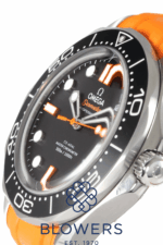 Omega Seamaster 210.32.42.20.01.006