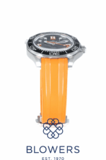 Omega Seamaster 210.32.42.20.01.006