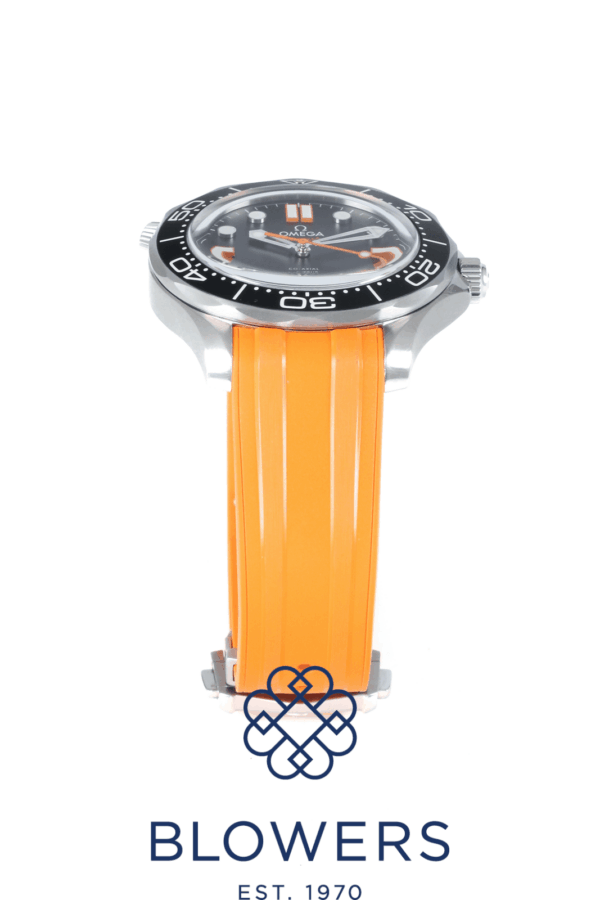Omega Seamaster 210.32.42.20.01.006