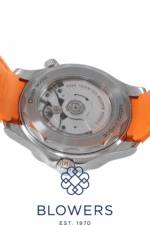 Omega Seamaster 210.32.42.20.01.006