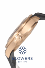 Omega Seamaster Diver 300M Bronze Gold 210.92.42.20.01.003