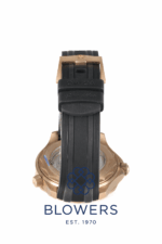 Omega Seamaster Diver 300M Bronze Gold 210.92.42.20.01.003