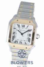 Cartier Santos de Cartier Medium W2SA0016