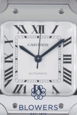 Cartier Santos WSSA0029